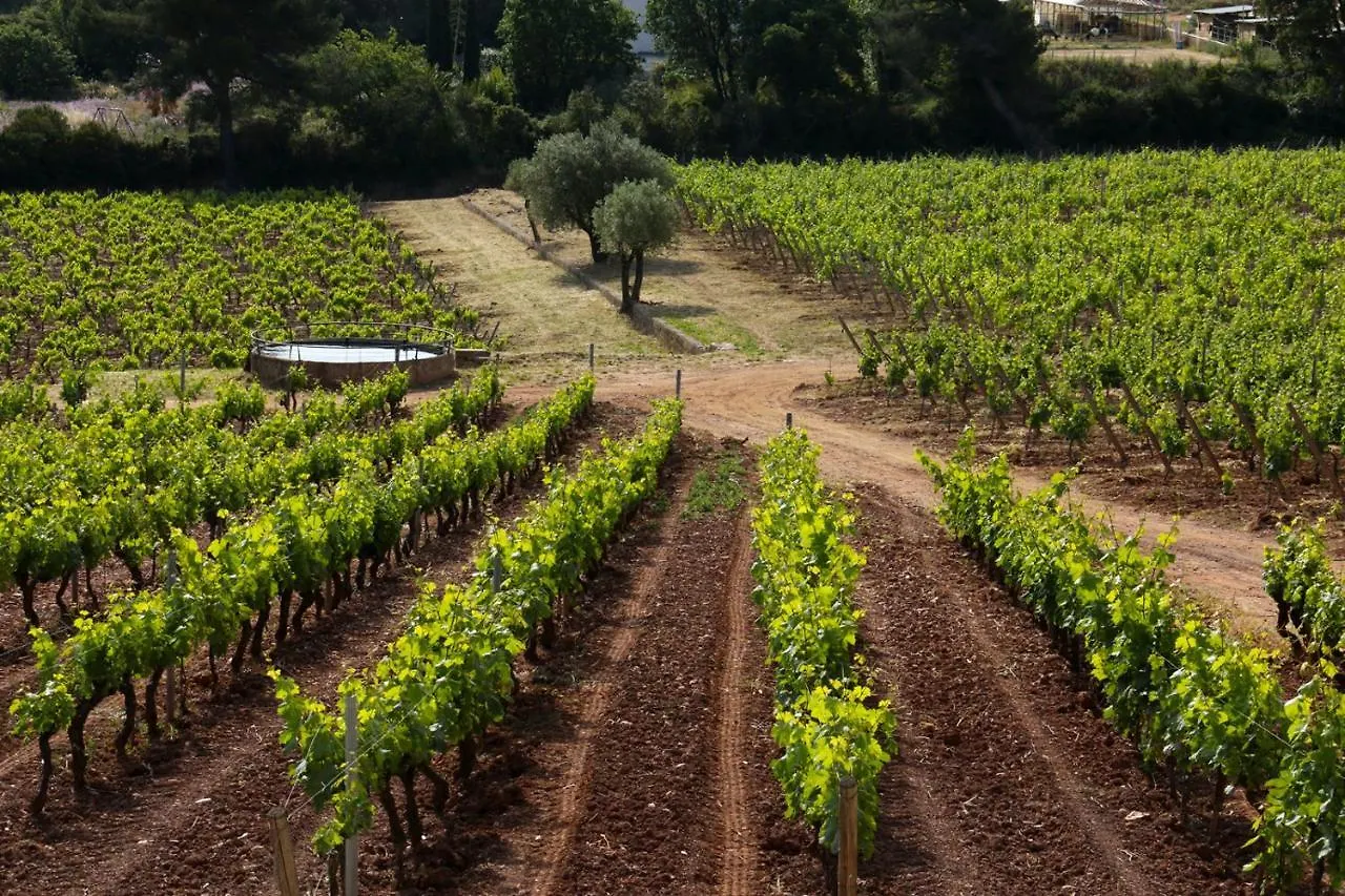 Domaine De La Navicelle Villa Le Pradet France