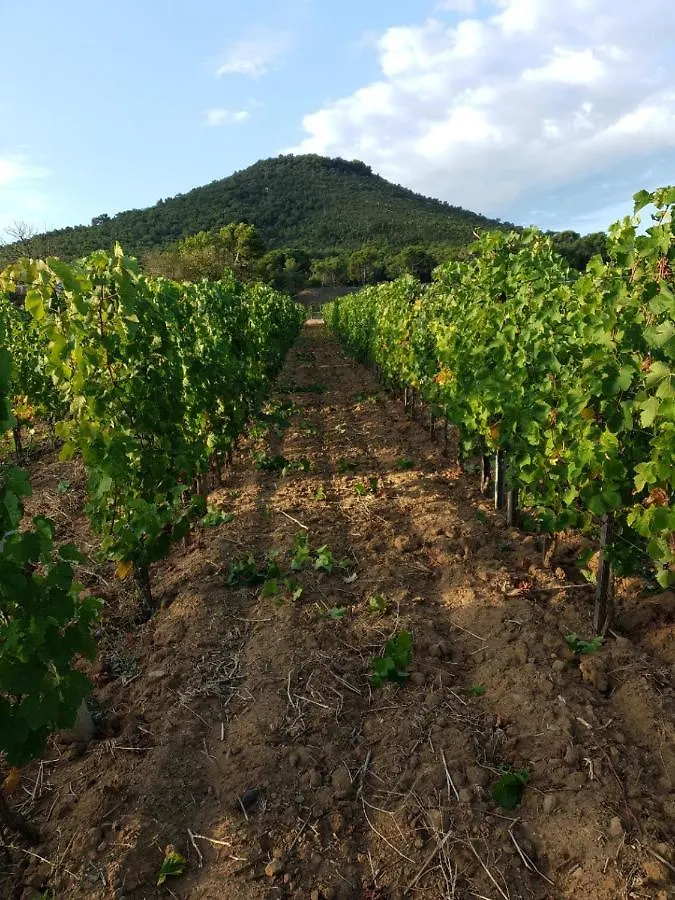 Holiday home Domaine De La Navicelle Villa Le Pradet France