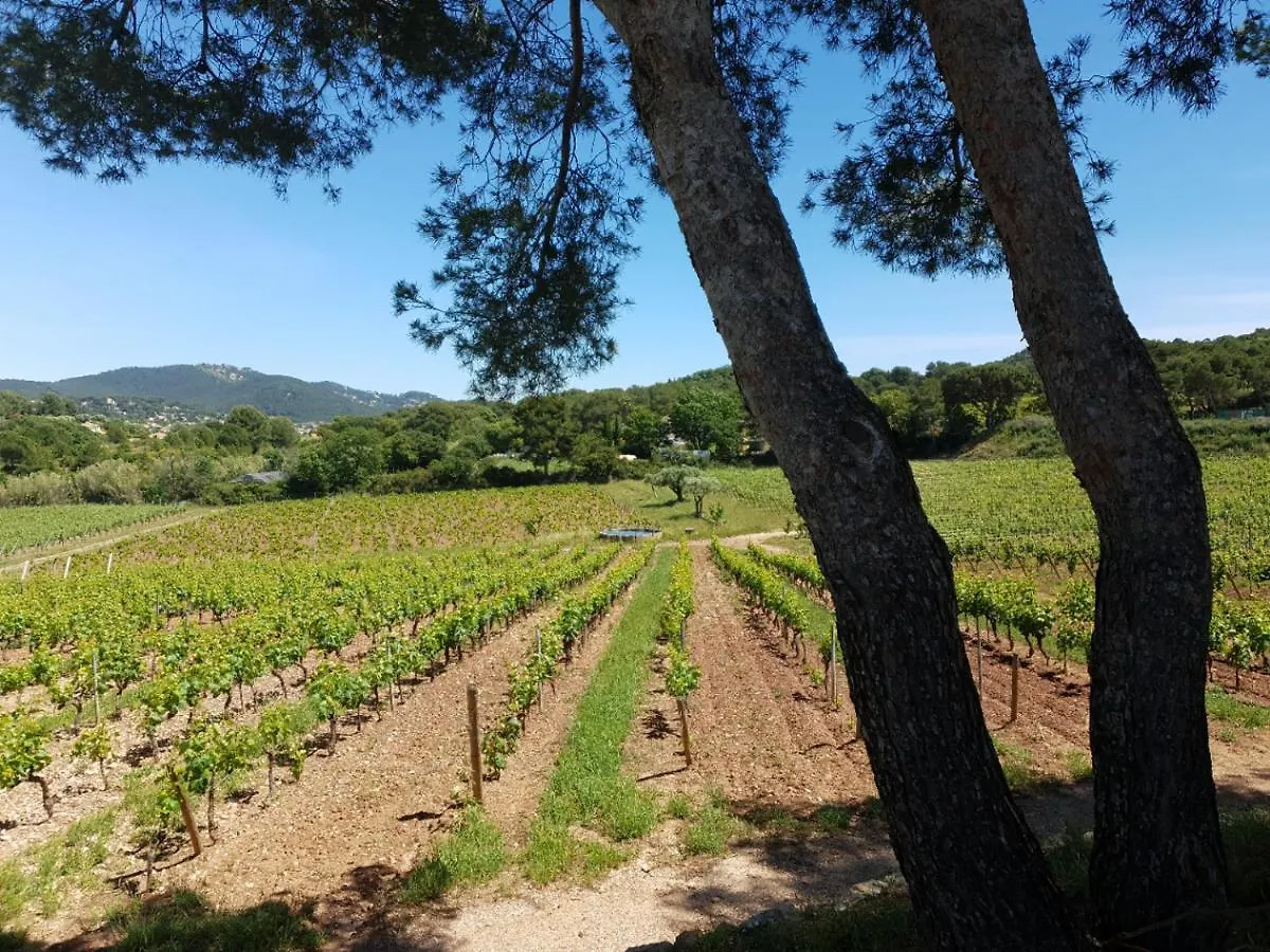 Villa Domaine De La Navicelle - Syrah Le Pradet