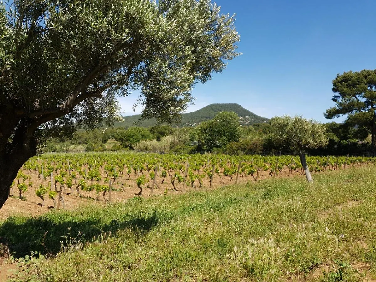 Holiday home Domaine De La Navicelle Villa Le Pradet